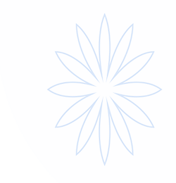 海马加速器官方